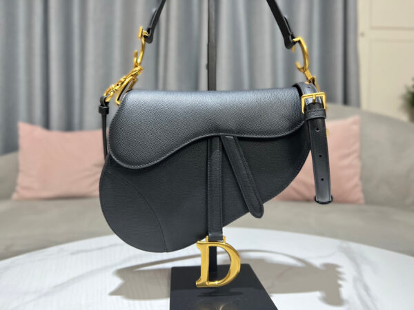 Dior Saddle Bag In Back