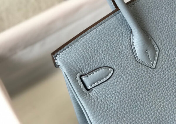 Hermes Birkin Ciel Togo Bag - Image 8