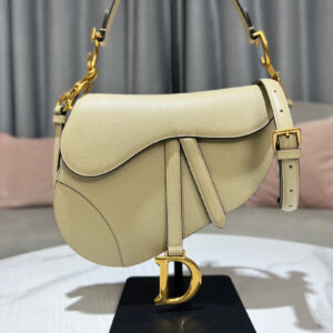 Dior Saddle Bag