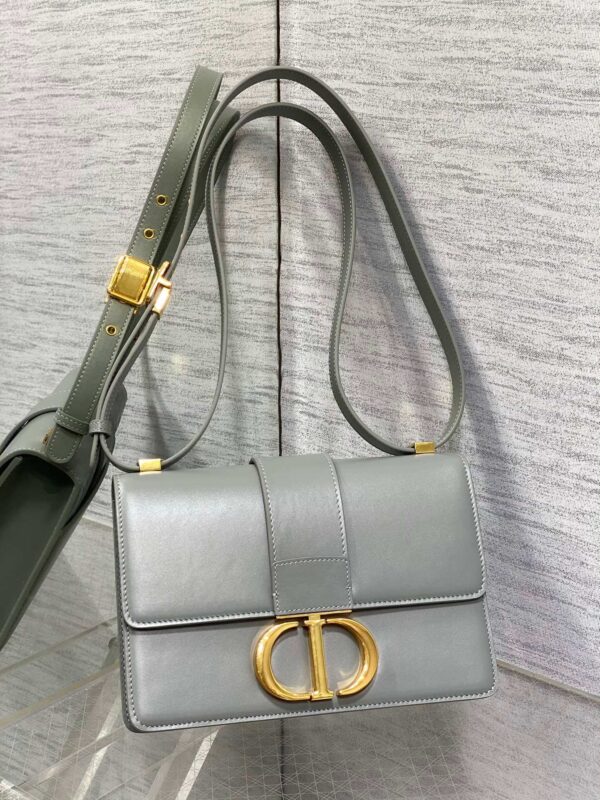 Dior Montaigne Stone Grey Bag