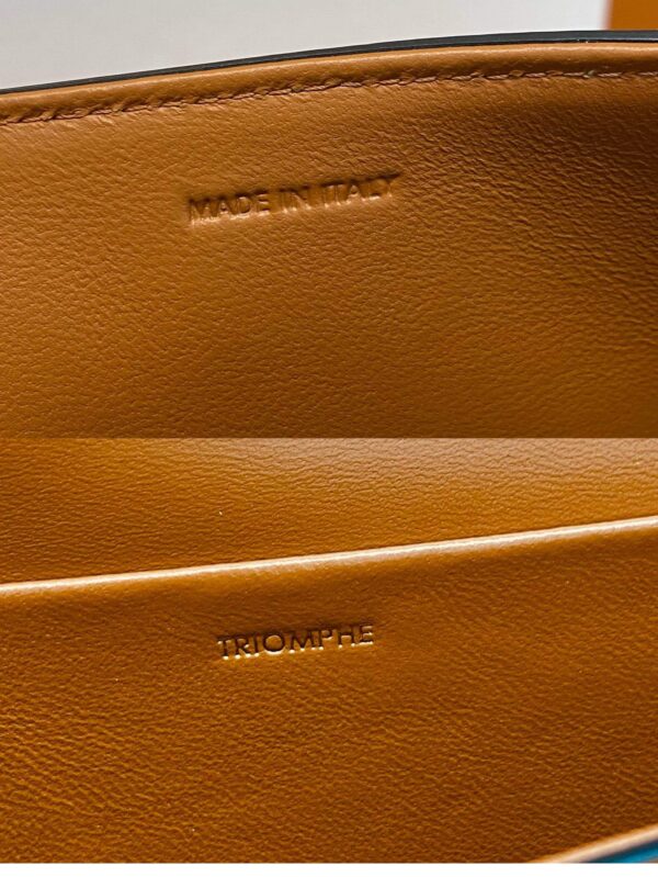 Celine Brown Triomphe Shoulder Bag - Image 9