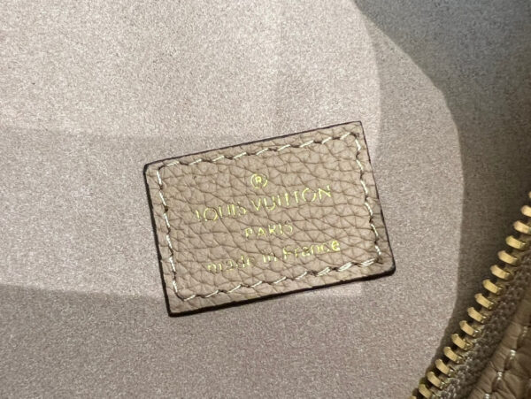 LV Loop Hobo Bag - Image 5