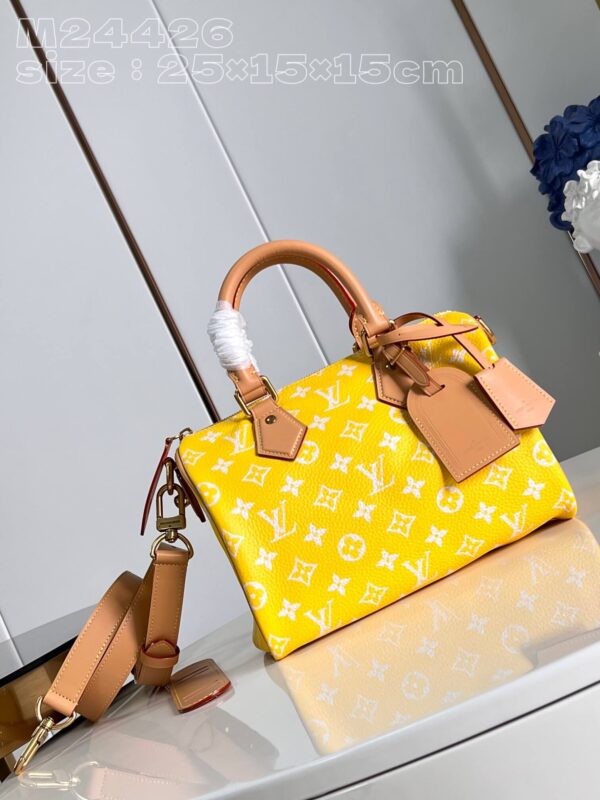 Louis Vuitton Speedy Bag