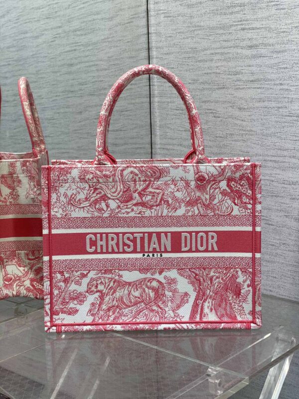 Dior Book Tote Bag