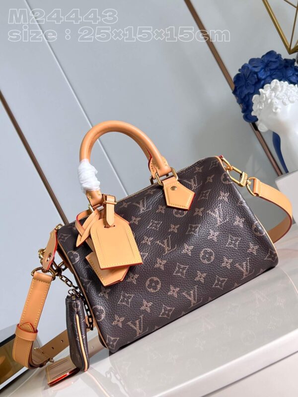 Louis Vuitton Speedy Bag