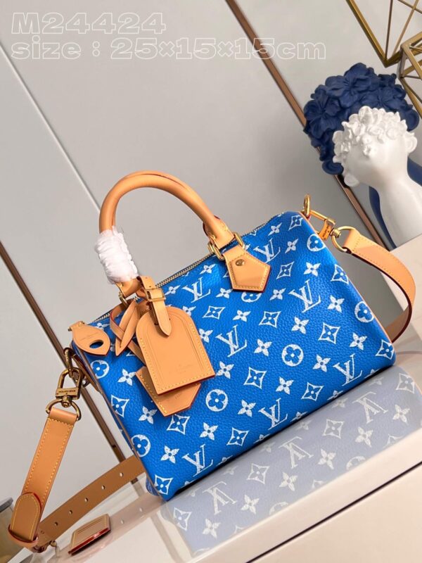 Louis Vuitton Speedy Bag