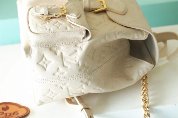 LV Backup Backpack - Image 5