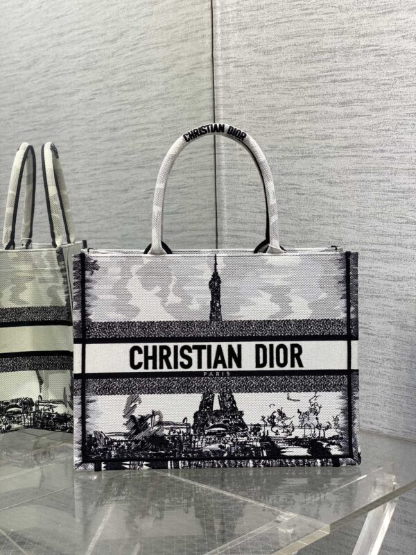 Dior Book Tote Bag