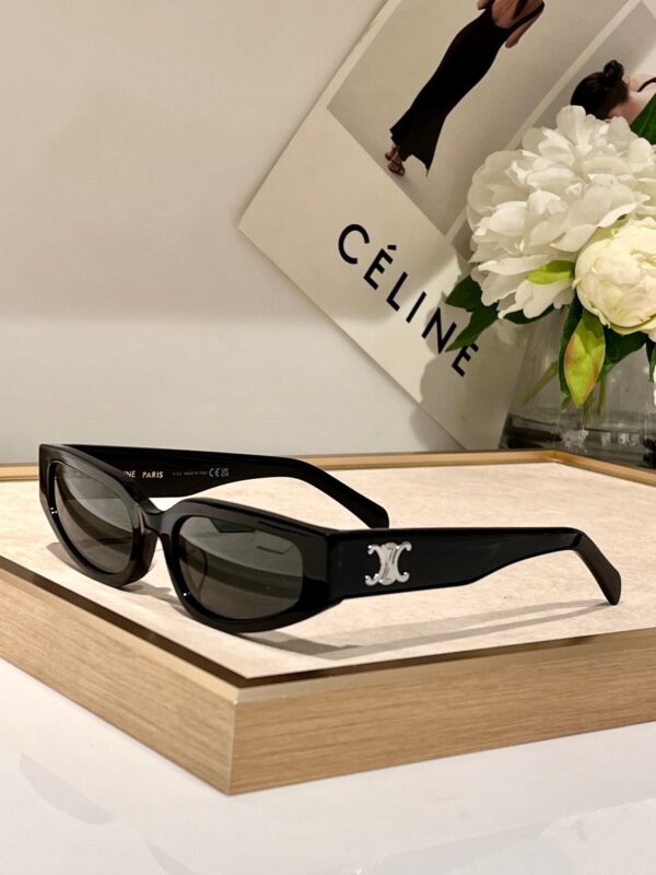 Celine Triomphe Cat Eye Sunglasses - Image 4