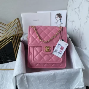 CHANEL Pre-Owned Classic Flap Bijoux Chain Shoulder Bag