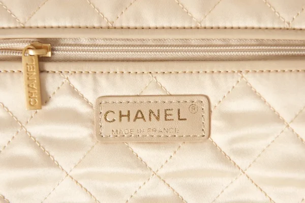 Chanel Small 22 Hobo - Image 2