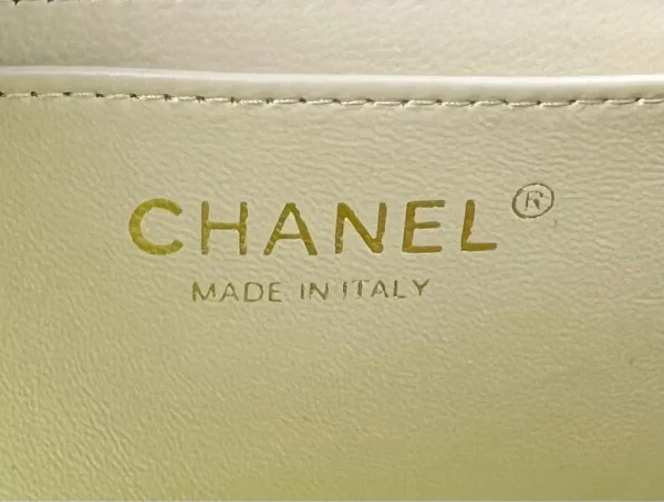 Chanel Spring Summer Seasonal Bag Collection - Image 6