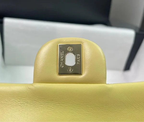Chanel Spring Summer Seasonal Bag Collection - Image 9