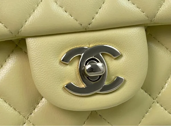 Chanel Spring Summer Seasonal Bag Collection - Image 10