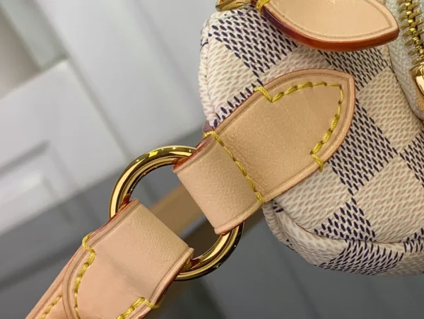 Louis Vuitton Damier Geant Arche Canvas Fabric - Image 7