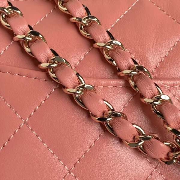 Vanity With Chain pink bag - Image 2