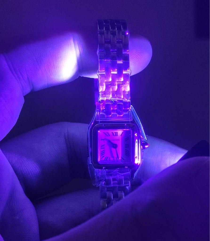 Cartier PANTHÈRE DE CARTIER Watch (Silver Hardware) - Image 6